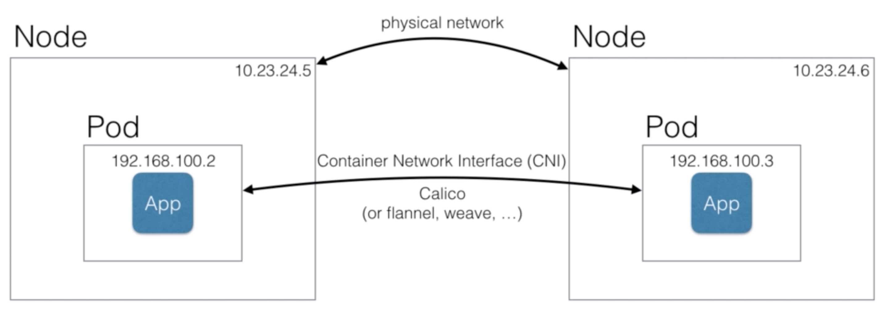 _images/calico1.jpg